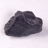 METEORITE CAMEL DONGA, Australia YCD025