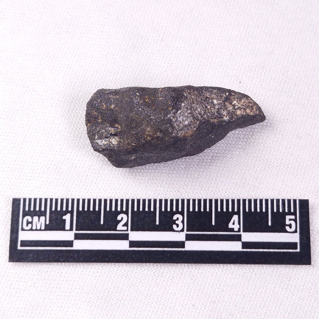 METEORITE CAMEL DONGA, Australia YCD026
