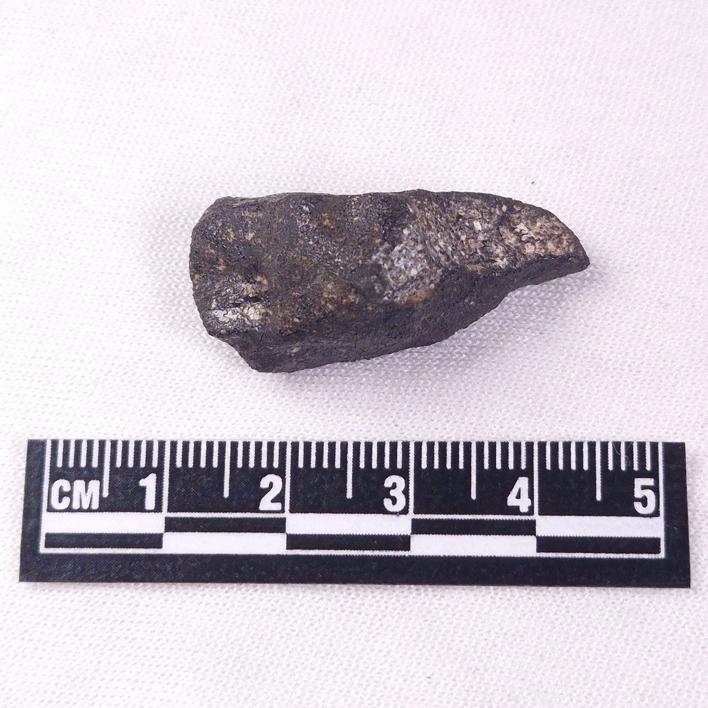 METEORITE CAMEL DONGA, Australia YCD026