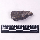 METEORITE CAMEL DONGA, Australia YCD026