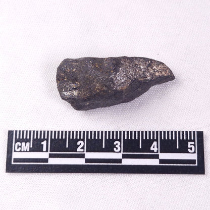 METEORITE CAMEL DONGA, Australia YCD026