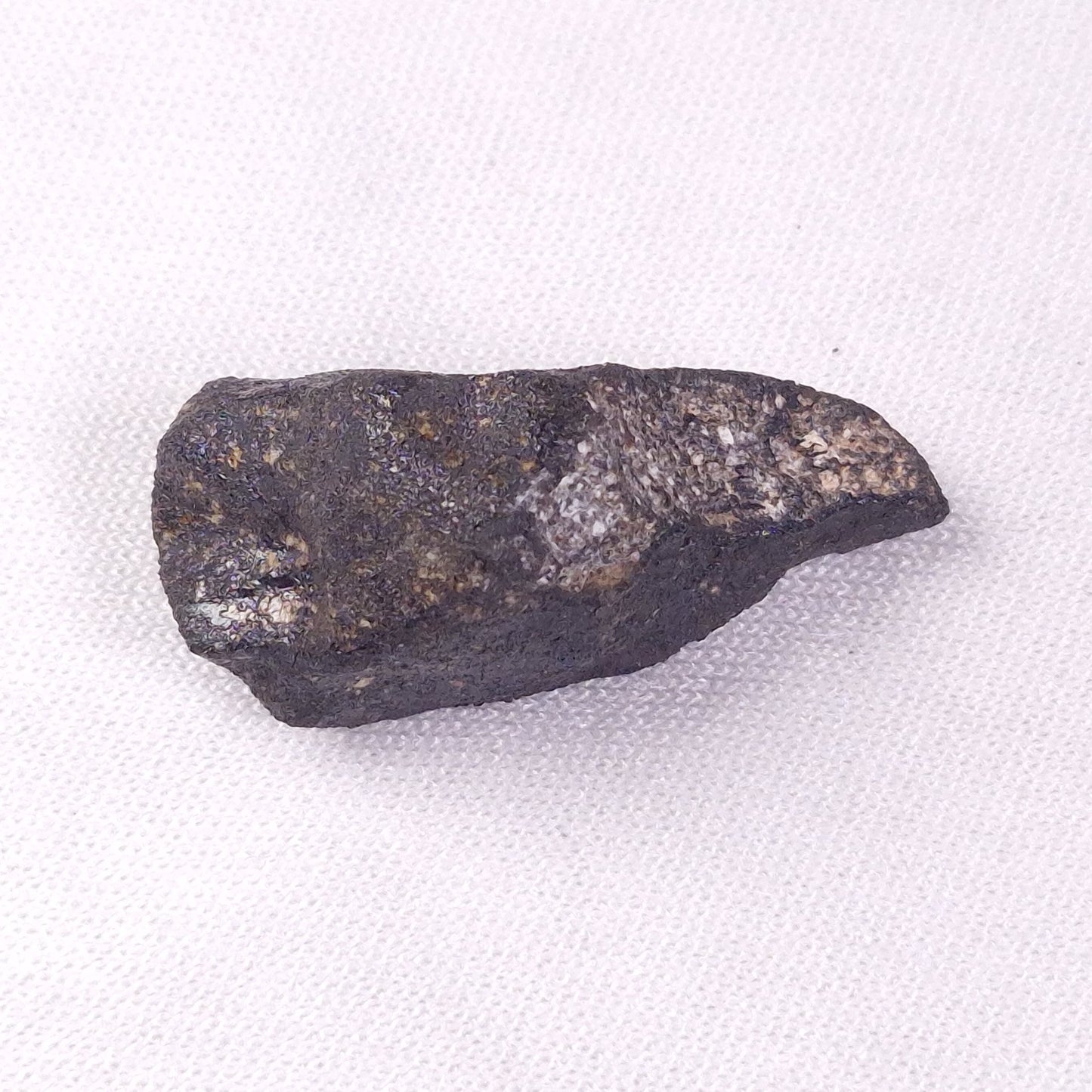 METEORITE CAMEL DONGA, Australia YCD026