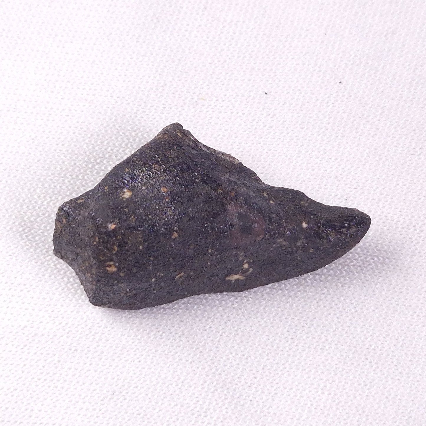 METEORITE CAMEL DONGA, Australia YCD026