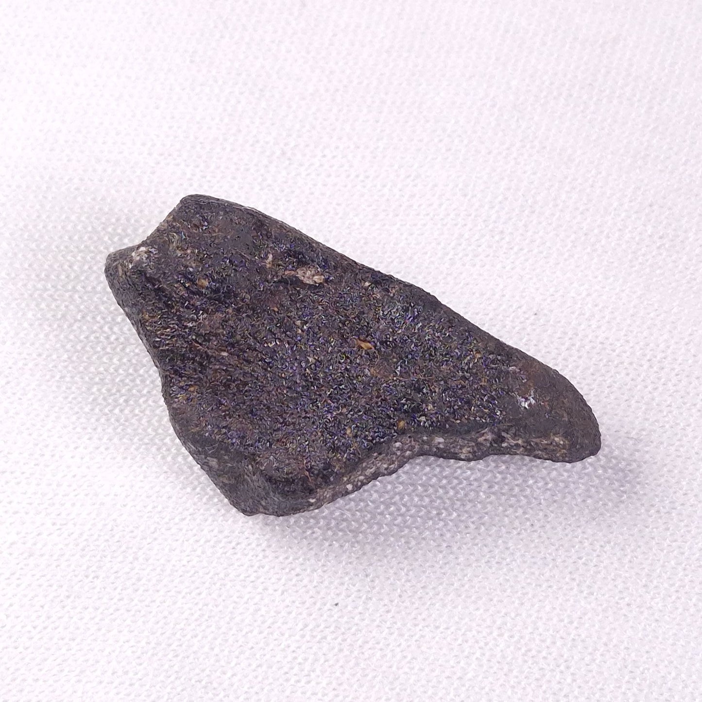 METEORITE CAMEL DONGA, Australia YCD026