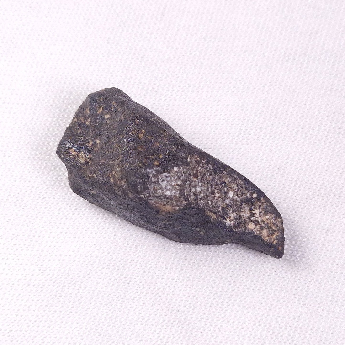 METEORITE CAMEL DONGA, Australia YCD026