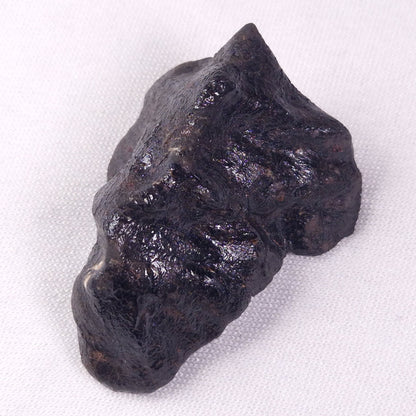 METEORITE CAMEL DONGA, Australia YCD027