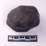 METEORITE CAMEL DONGA, Australia YCD028