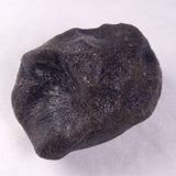 METEORITE CAMEL DONGA, Australia YCD028