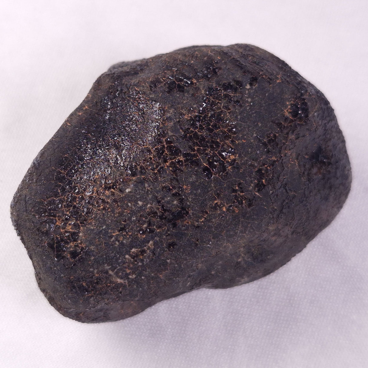 METEORITE CAMEL DONGA, Australia YCD028
