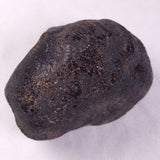 METEORITE CAMEL DONGA, Australia YCD028