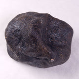 METEORITE CAMEL DONGA, Australia YCD028