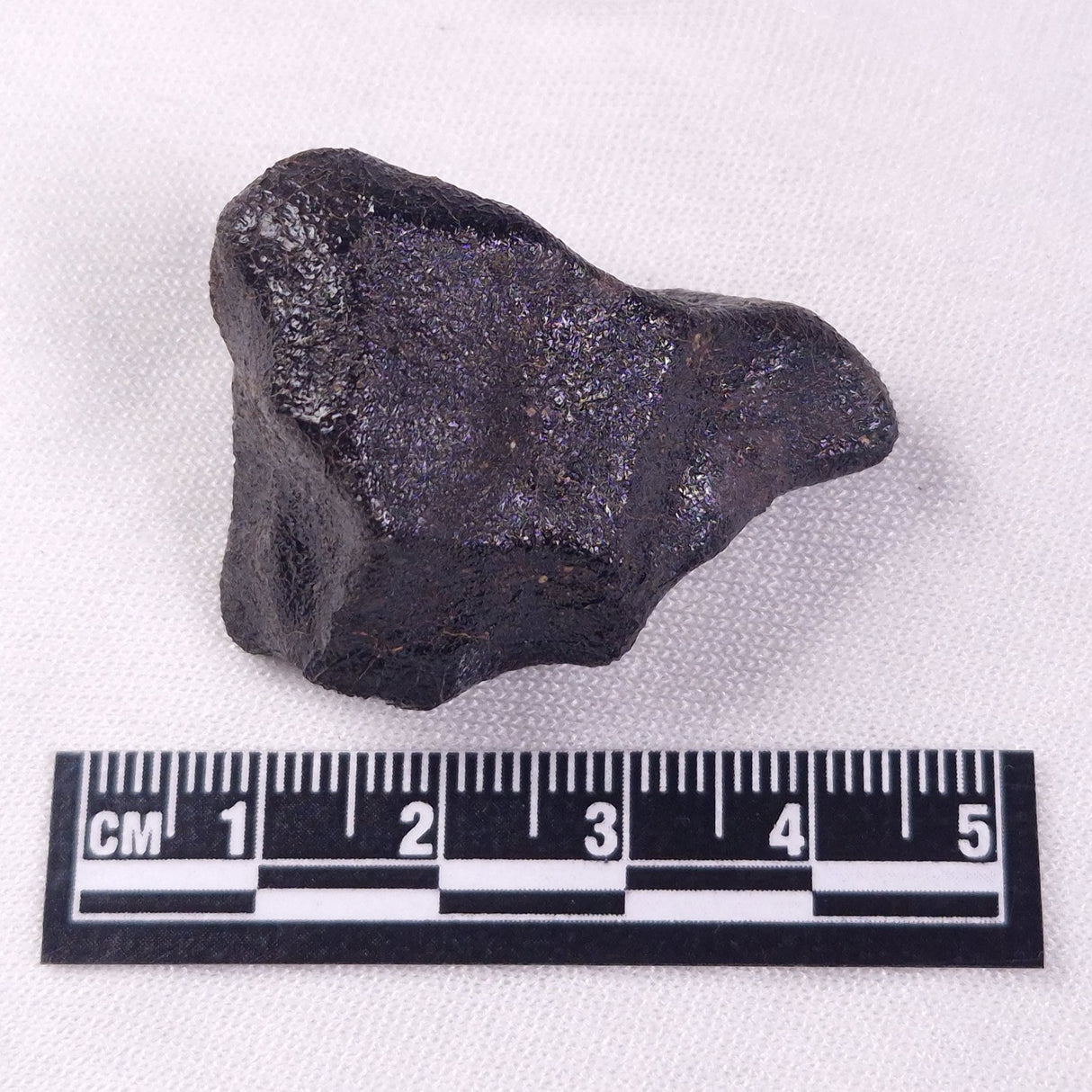 METEORITE CAMEL DONGA, Australia YCD029