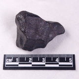 METEORITE CAMEL DONGA, Australia YCD029