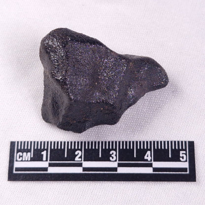 METEORITE CAMEL DONGA, Australia YCD029