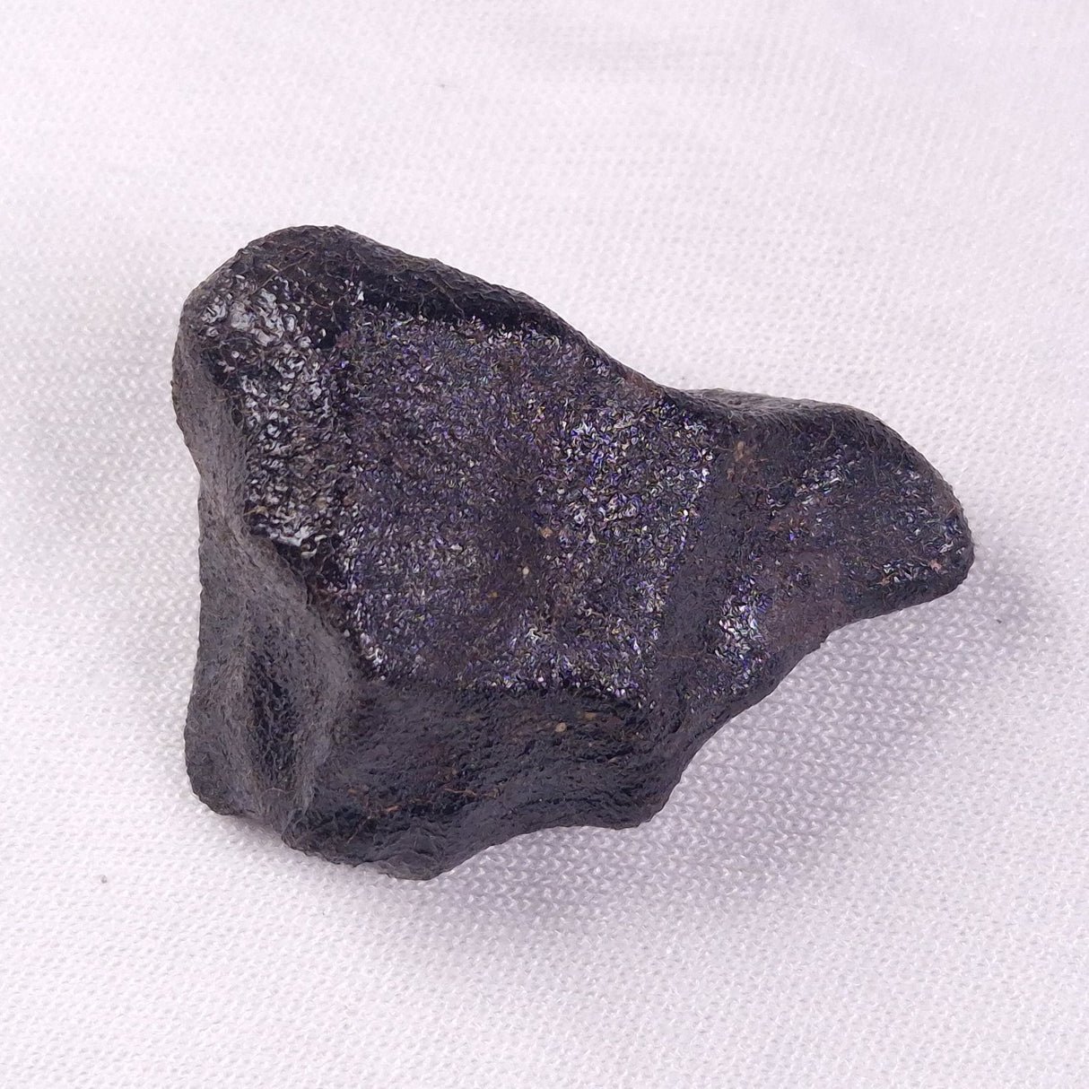 METEORITE CAMEL DONGA, Australia YCD029