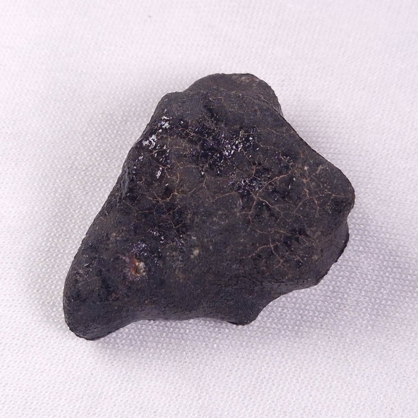 METEORITE CAMEL DONGA, Australia YCD029