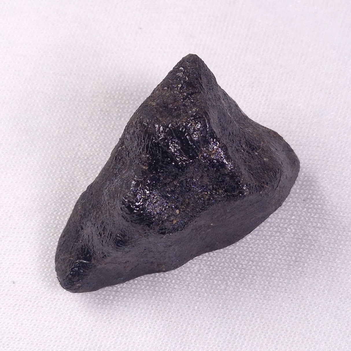 METEORITE CAMEL DONGA, Australia YCD029
