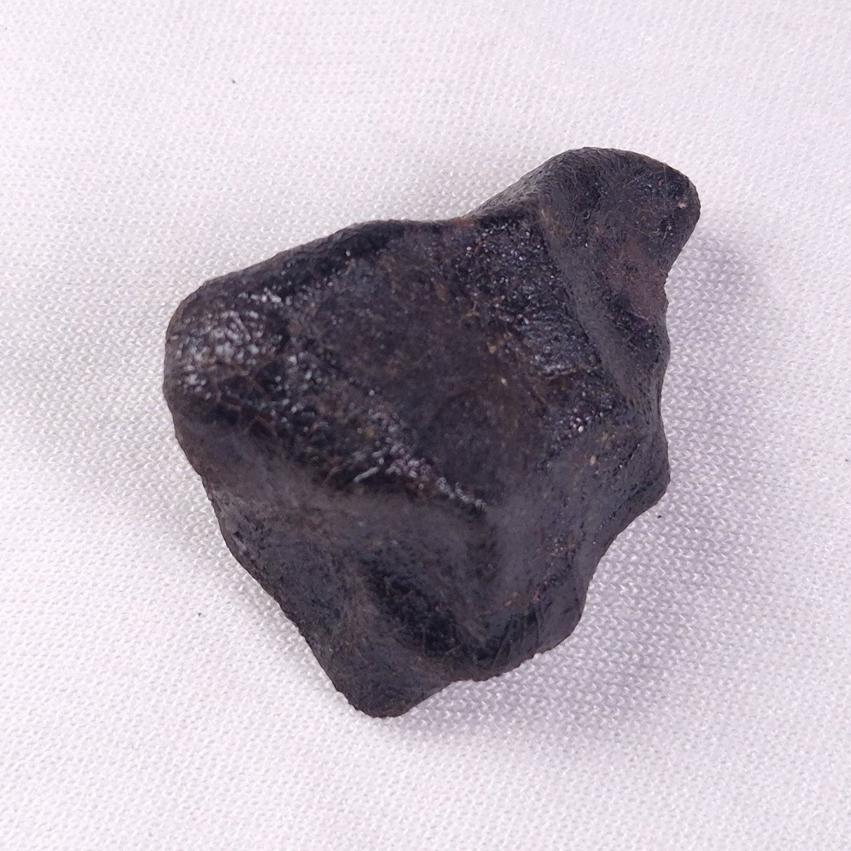 METEORITE CAMEL DONGA, Australia YCD029