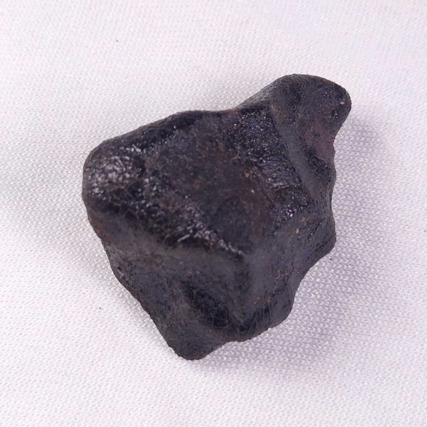 METEORITE CAMEL DONGA, Australia YCD029