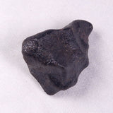 METEORITE CAMEL DONGA, Australia YCD029