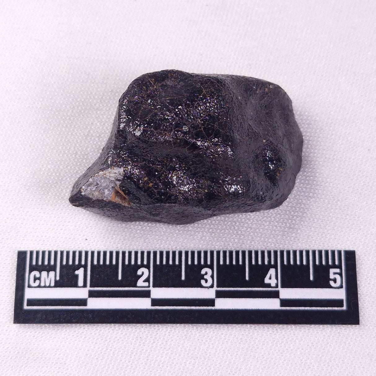 METEORITE CAMEL DONGA, Australia YCD030