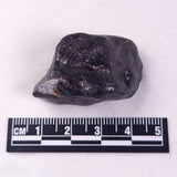 METEORITE CAMEL DONGA, Australia YCD030