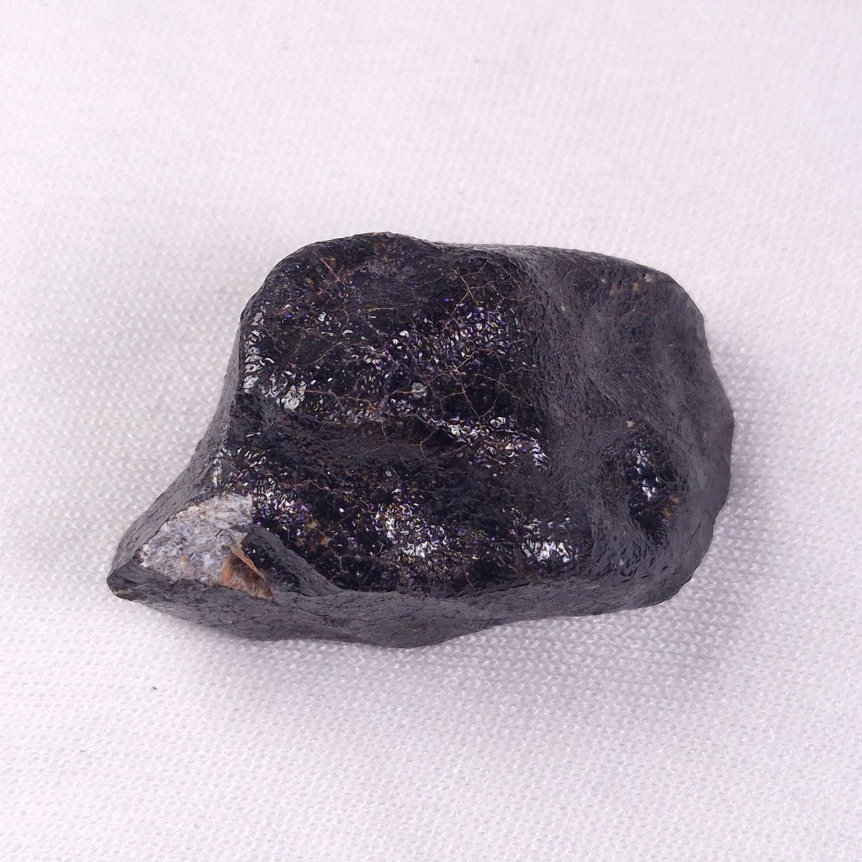 METEORITE CAMEL DONGA, Australia YCD030