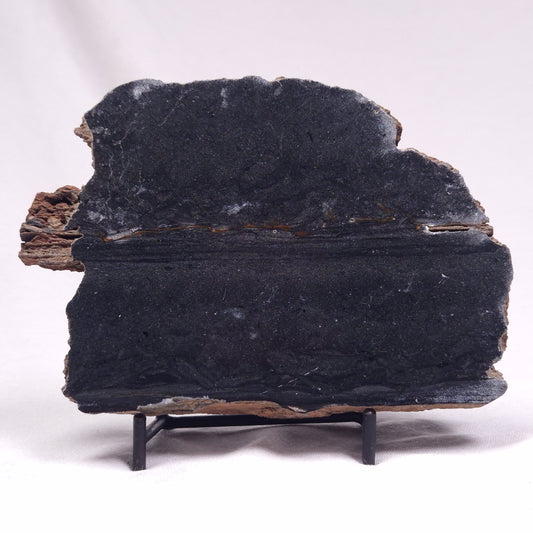 ALCHERINGA NARRINA STROMATOLITE, Late Archean, Australia ZAN020