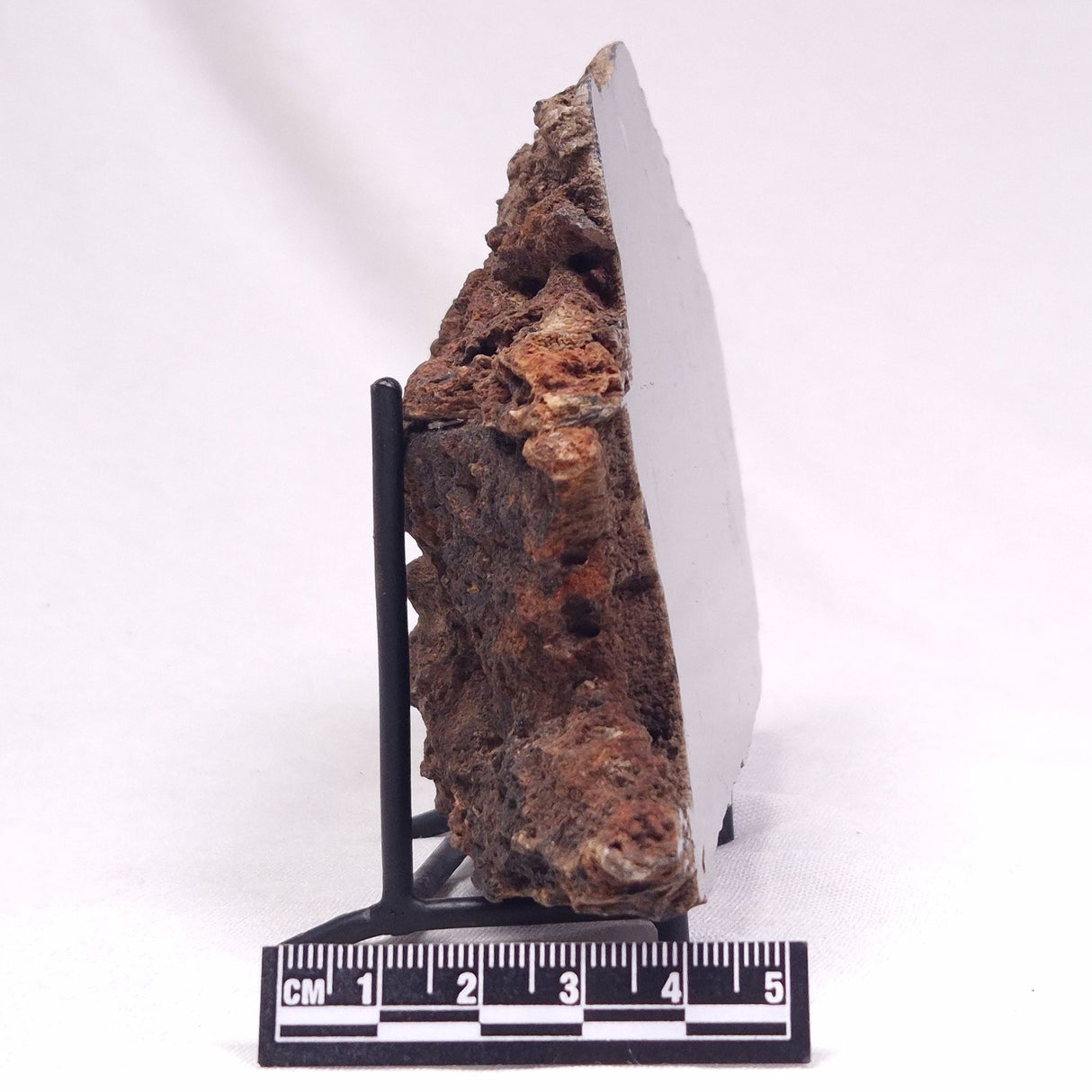 ALCHERINGA NARRINA STROMATOLITE, Late Archean, Australia ZAN021