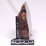 ALCHERINGA NARRINA STROMATOLITE, Late Archean, Australia ZAN021