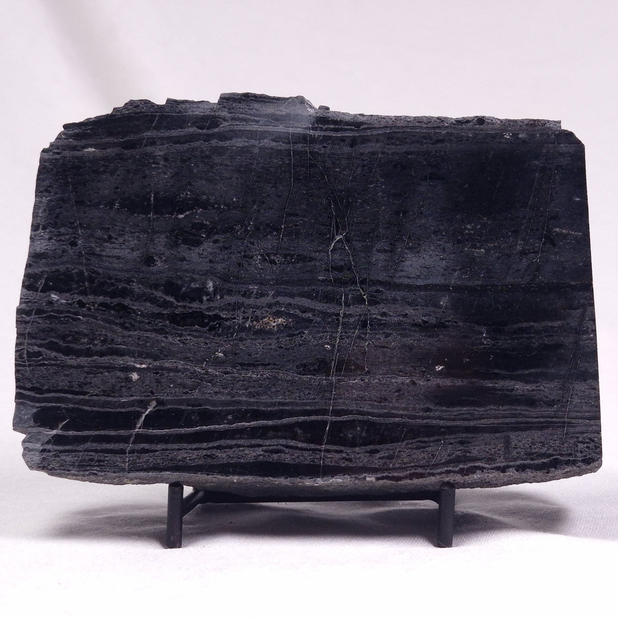 ALCHERINGA NARRINA STROMATOLITE, Late Archean, Australia ZAN022