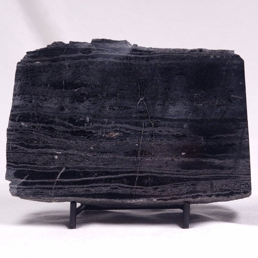 ALCHERINGA NARRINA STROMATOLITE, Late Archean, Australia ZAN022