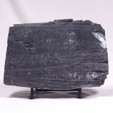 ALCHERINGA NARRINA STROMATOLITE, Late Archean, Australia ZAN022