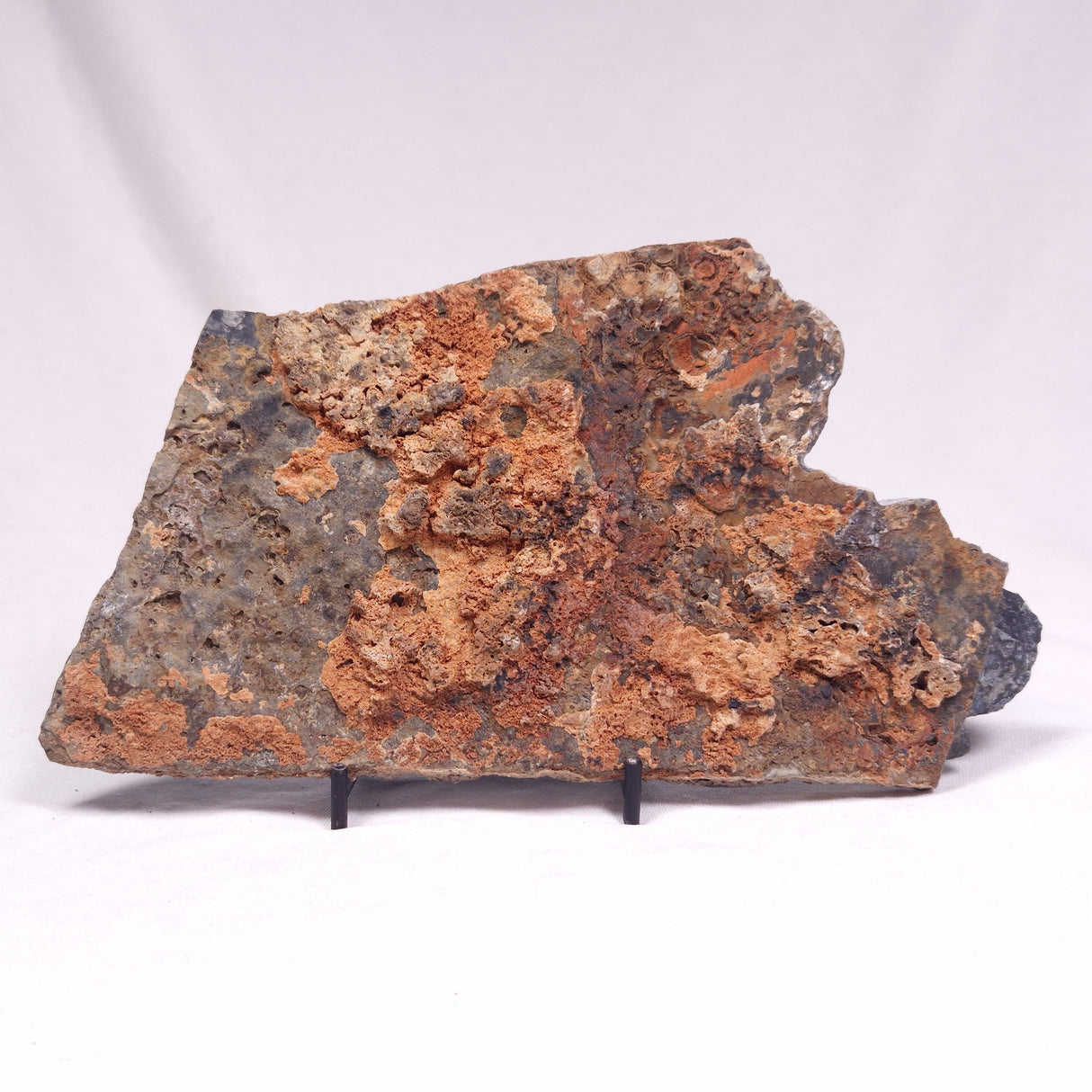 ALCHERINGA NARRINA STROMATOLITE, Late Archean, Australia ZAN024