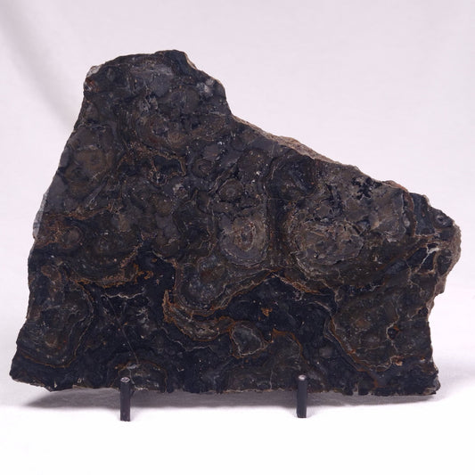 ALCHERINGA NARRINA STROMATOLITE, Late Archean, Australia ZAN025