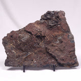 ALCHERINGA NARRINA STROMATOLITE, Late Archean, Australia ZAN025