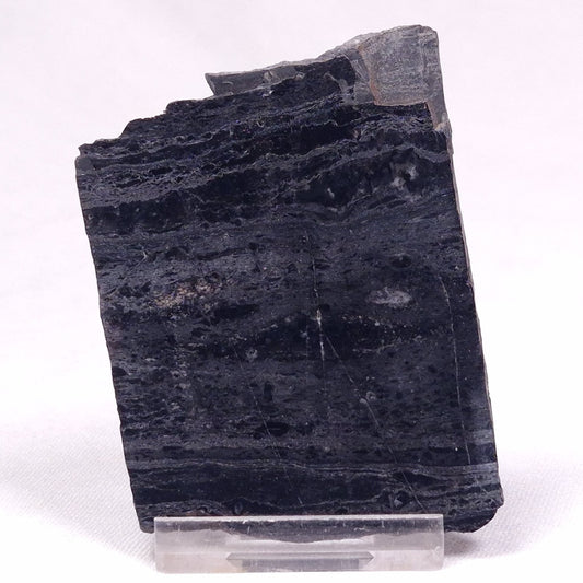ALCHERINGA NARRINA STROMATOLITE, Late Archean, Australia ZAN026