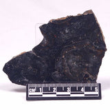 ALCHERINGA NARRINA STROMATOLITE, Late Archean, Australia ZAN027