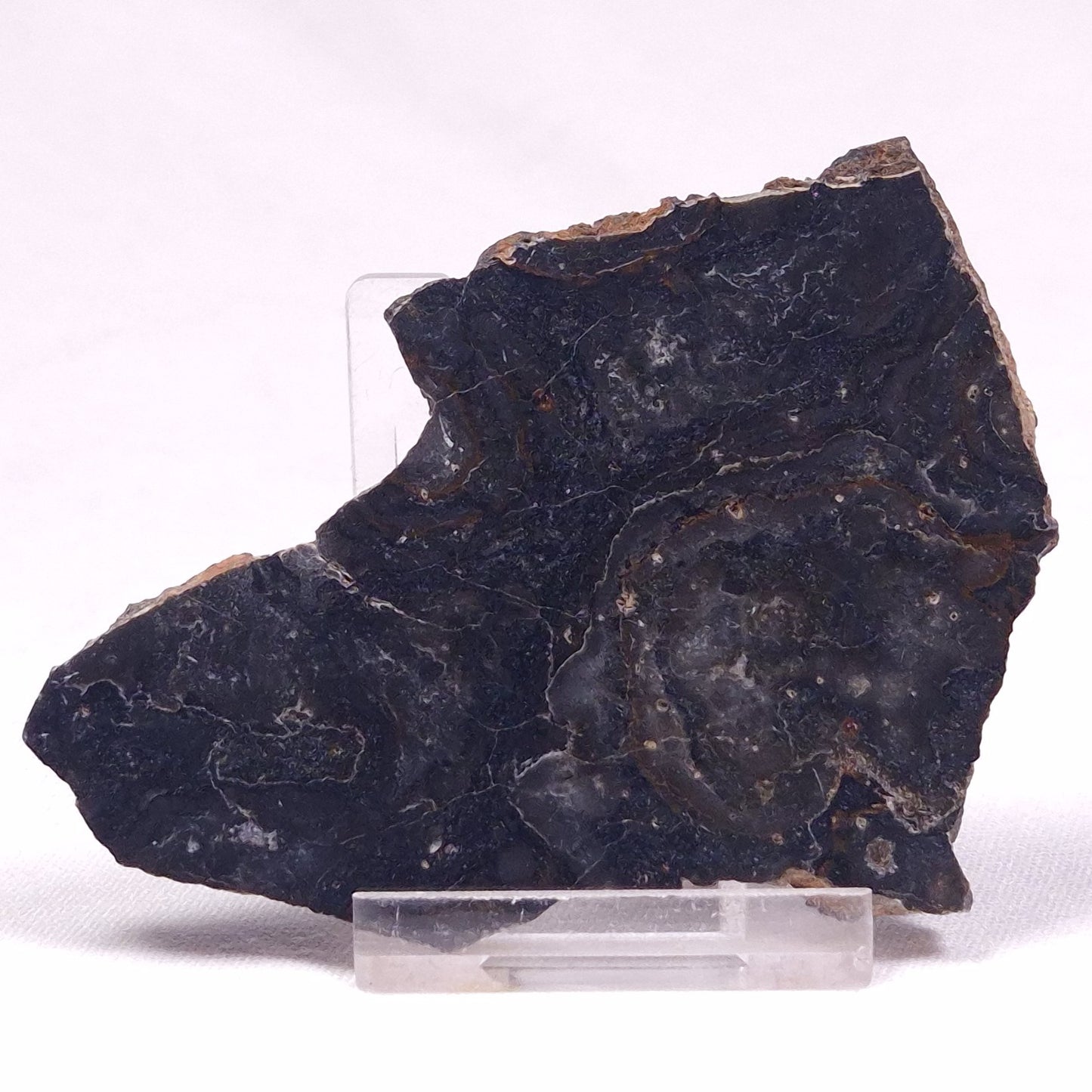 ALCHERINGA NARRINA STROMATOLITE, Late Archean, Australia ZAN027