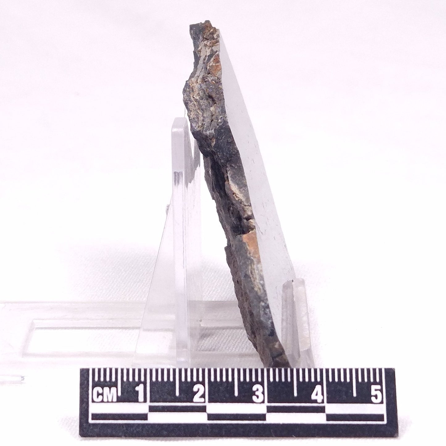 ALCHERINGA NARRINA STROMATOLITE, Late Archean, Australia ZAN027