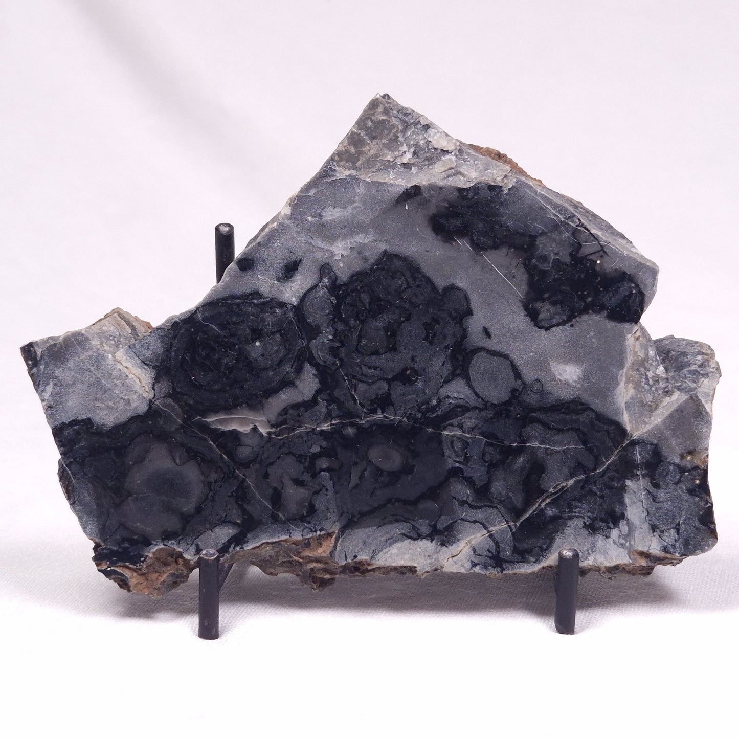 ALCHERINGA NARRINA STROMATOLITE, Late Archean, Australia ZAN028