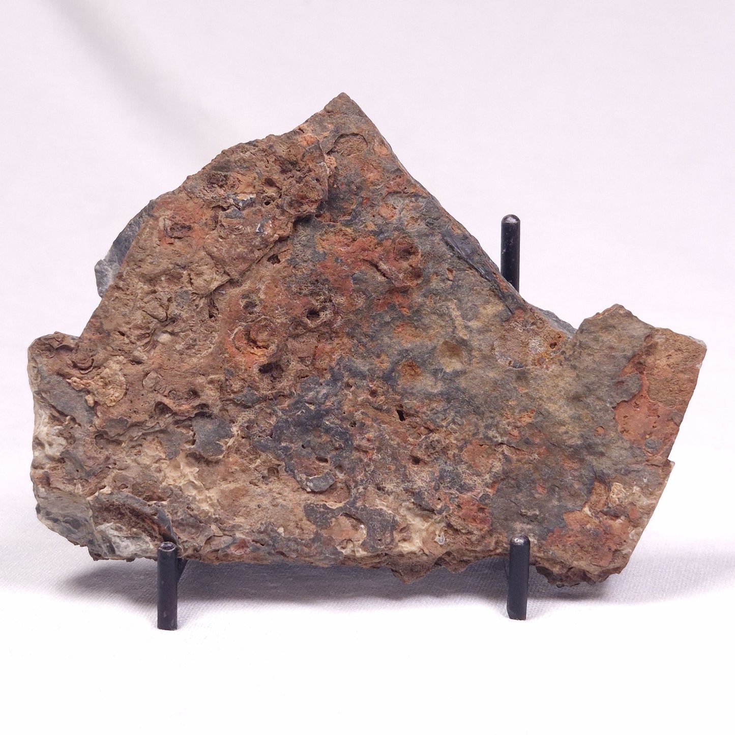 ALCHERINGA NARRINA STROMATOLITE, Late Archean, Australia ZAN028