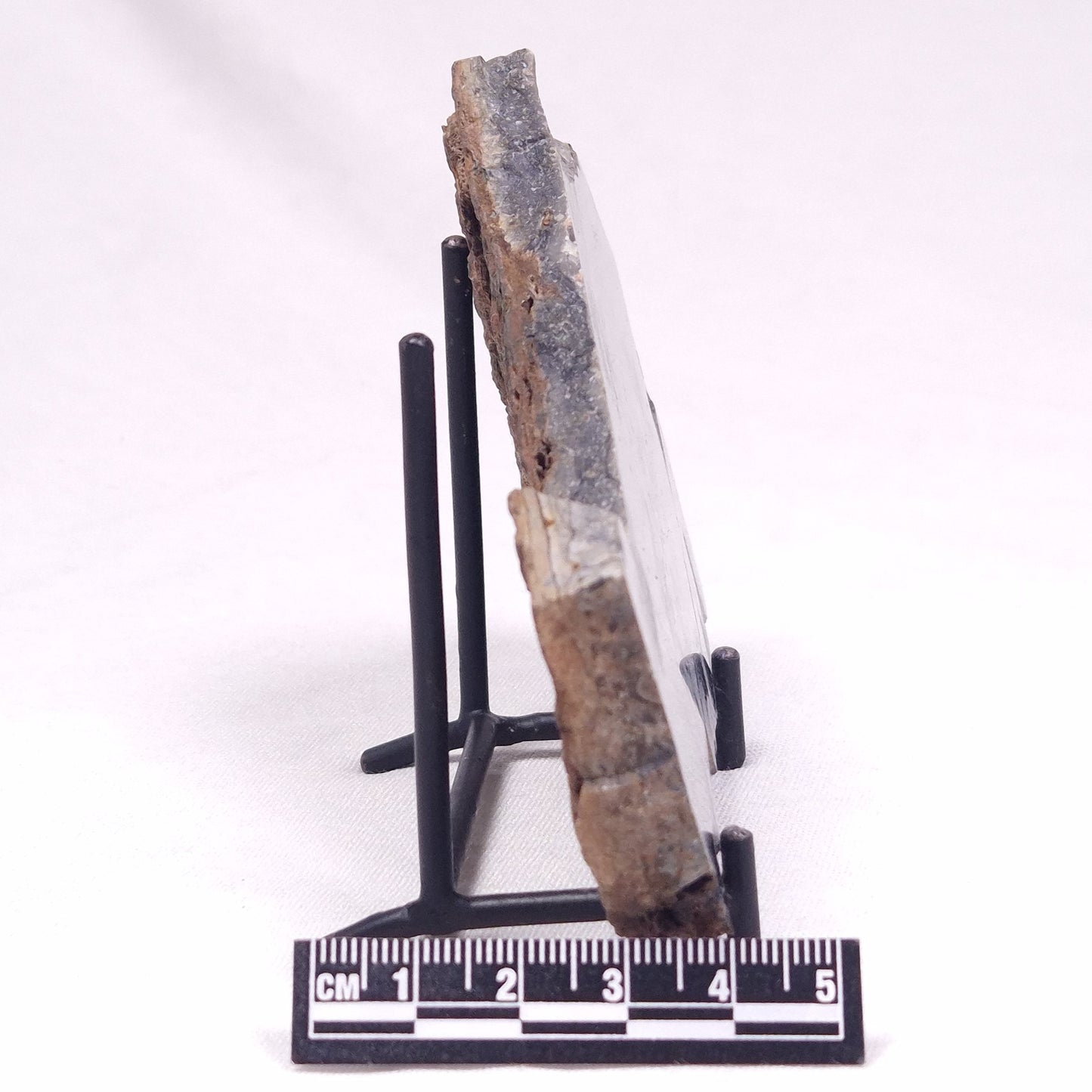 ALCHERINGA NARRINA STROMATOLITE, Late Archean, Australia ZAN028
