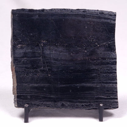 ALCHERINGA NARRINA STROMATOLITE, Late Archean, Australia ZAN029