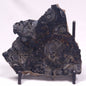 ALCHERINGA NARRINA STROMATOLITE, Late Archean, Australia ZAN030