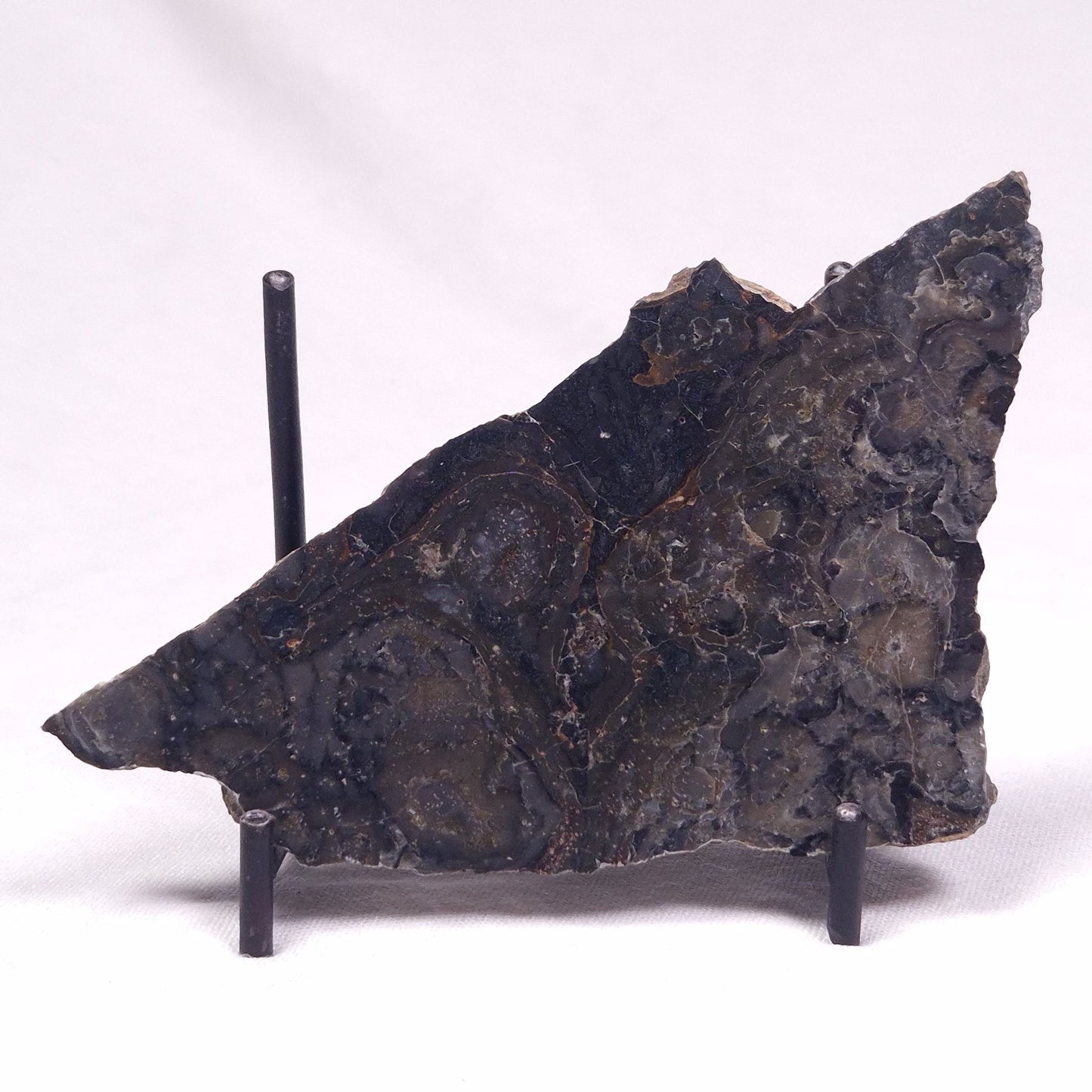 ALCHERINGA NARRINA STROMATOLITE, Late Archean, Australia ZAN031