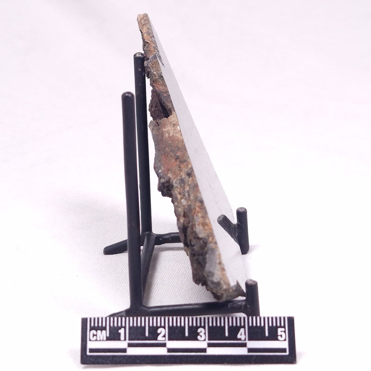 ALCHERINGA NARRINA STROMATOLITE, Late Archean, Australia ZAN031