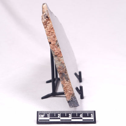 ALCHERINGA NARRINA STROMATOLITE, Late Archean, Australia ZAN033
