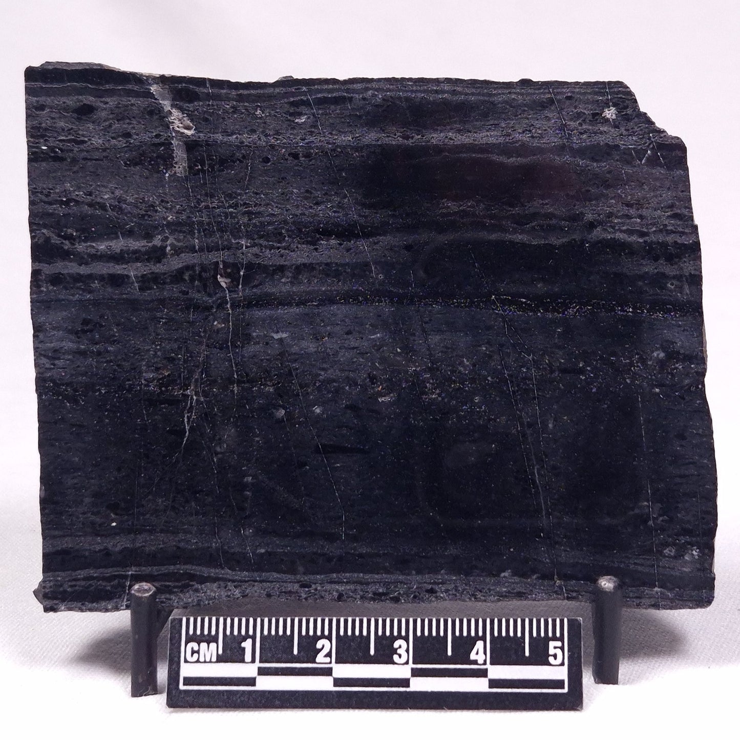 ALCHERINGA NARRINA STROMATOLITE, Late Archean, Australia ZAN034