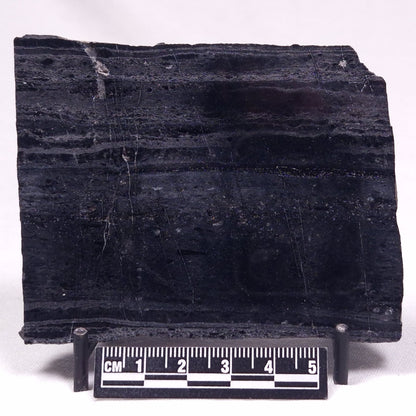 ALCHERINGA NARRINA STROMATOLITE, Late Archean, Australia ZAN034